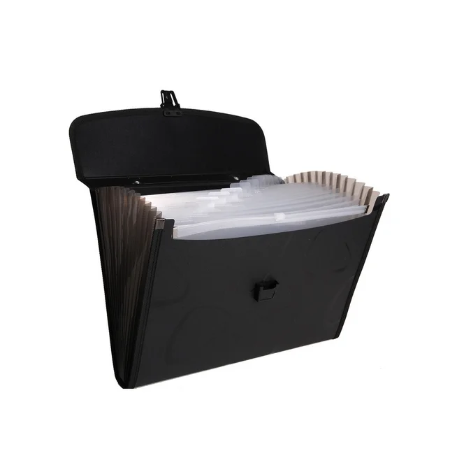 expanding file folder1.png