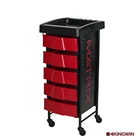 Zhuhai Kingwin beauty salon hairdressing mobile hairdressing equipment