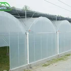 Anti-drip Poly Greenhouse