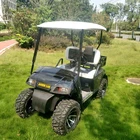 Popular 4 wheel 2 seat electric golf cart for adults