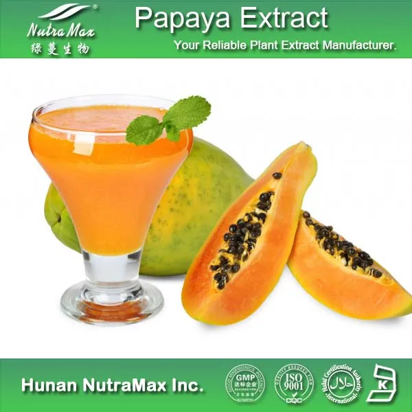 Medizinischem papaya blattpulver extrahieren/papaya blatt p. E. Enzym papain