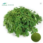 High Quality Moringa Leaf Extract Powder/ Moringa Oleifera Seeds Extract