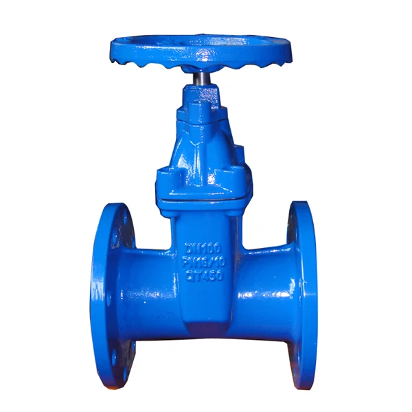 Rubber lined gate valve.jpg