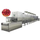 Microwave vacuum belt-type dryer for medicine, fruit , vegetable and wood