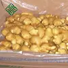 Best Price fresh fat ginger good for sale