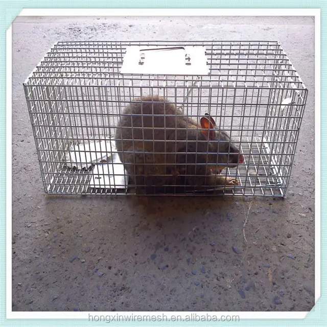 mouse cage trap / rat cage trap / folding mouse trap