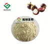 Factory Price Instant Mangosteen Fruit Juice Powder for Soft Drinks