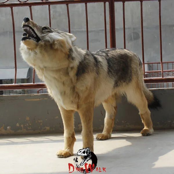simulation wolf (2).jpg