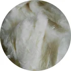 Natural Bleached Hemp Staple Fiber with 2800NM