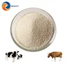 /product-detail/50-vitamin-e-feed-grade-for-dairy-cow-60762791603.html