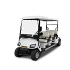 Custom 5 passenger electric golf cart