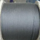 Manufactures wholesale Cold Heading Steel 2 mm stainless steel wire rope
