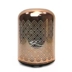 Led Nebulizers Humidifiers Rose Gold Electroplating Ultrasonic Glass Essential Oils Aroma Diffuser with Warmer Light