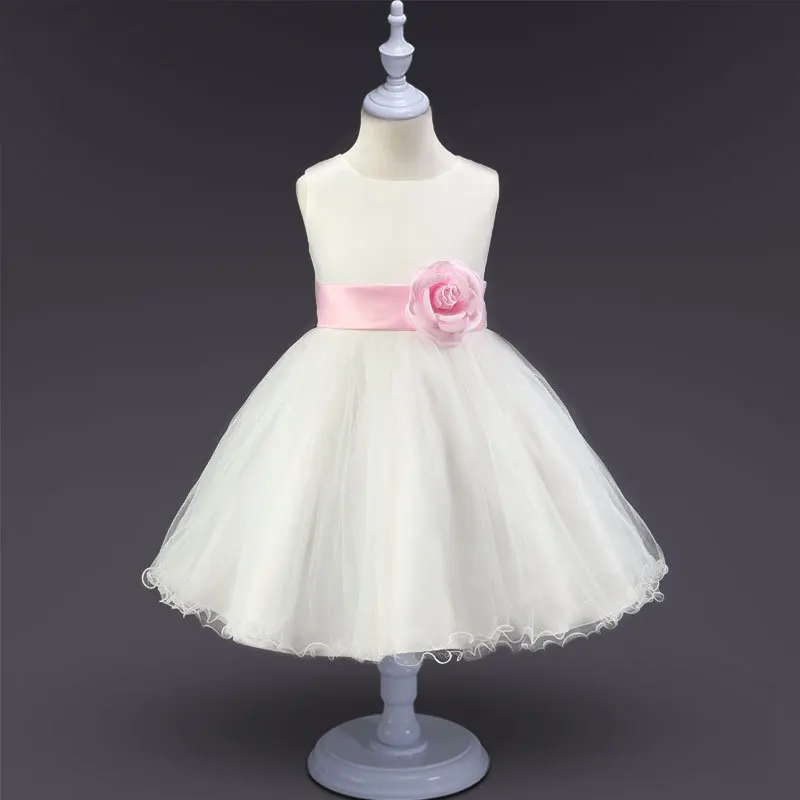 6902350702_407484580