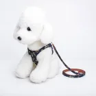 Durable Polyester Fashion Pet Durable Harness And Leash Set