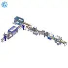HL Full Automatic Carton Box Case Packaging Line Automatic Weighing Scanning Printing Label Production line