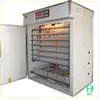 /product-detail/528-egg-automatic-used-chicken-egg-incubator-best-selling-full-automatic-intelligent-control-solar-poultry-egg-incubator-60232250595.html