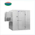Walk In Blast Freezer cold room cooler electric for Chicken meat fruit