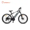/product-detail/dynavolt-e-bike-250w-hidden-battery-electric-mountain-bike-60775342726.html
