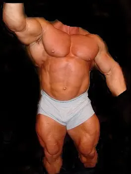 gay sex muscle men gay sex muscle men