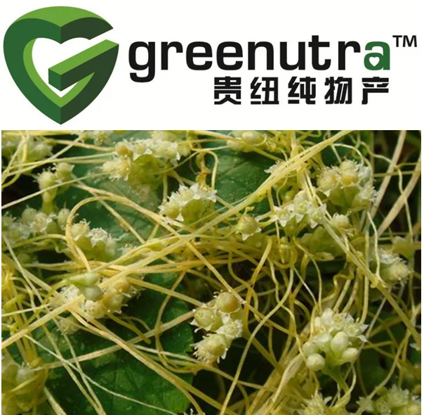 extract / chinese dodder seed extract    plant source :   the