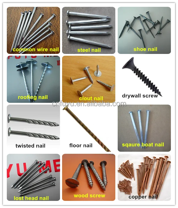 Types Of Nails Linyi Fatory Supply Common Wire Nails Shoe Tacks Steel