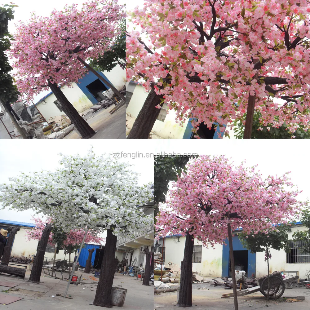 cherry tree.jpg