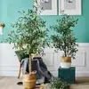 Small Artificial Olive Trees Plant, Artificial Plastic Olive Tree, Ornamental Olive Tree