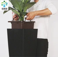 Decoration Hydroponic Self Watering System Home