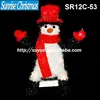 Light up Christmas items/Lighted Christmas penguin/snowman/Christmas decoration with lights