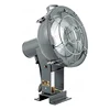High quality supplier Incandescent lamp 500w steel spot light for port
