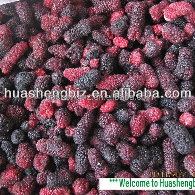 fresh frozen mulberries