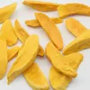 Healthy Freeze Dried fruit mango model