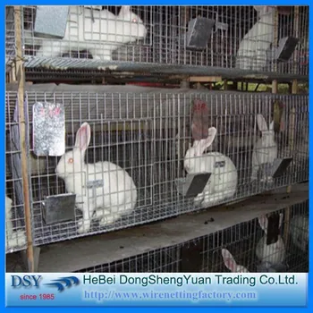 baby rabbit cage