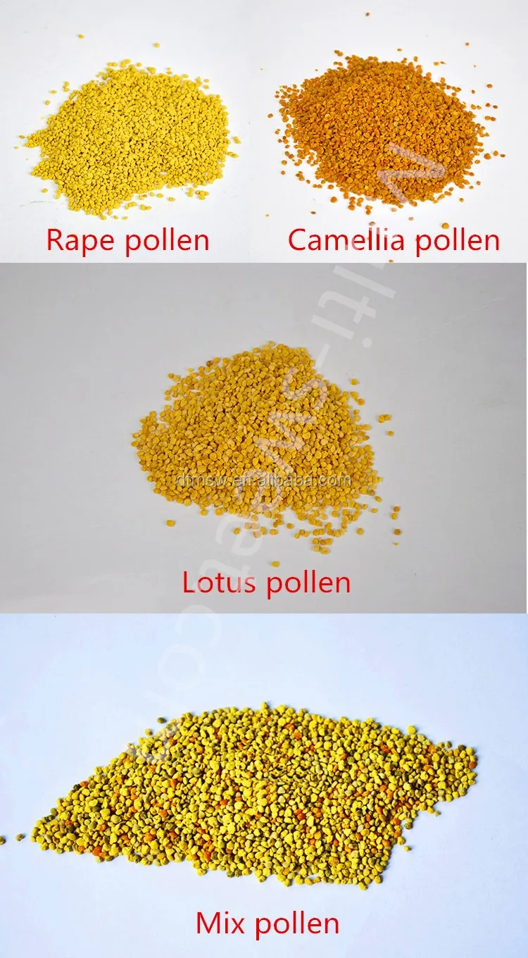 bee pollen.jpg