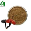 100% Natural Extract Spore Powder Ganoderma Lucidum