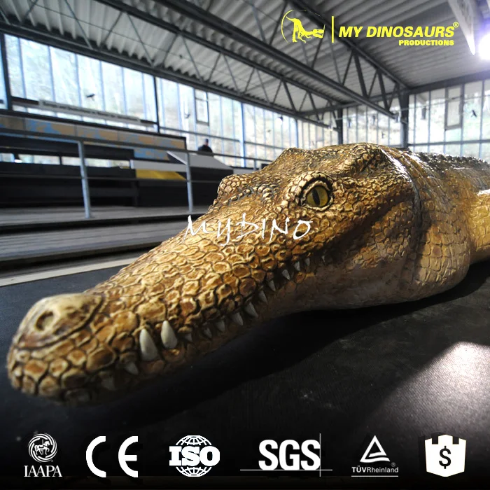 dinosaur animal.jpg