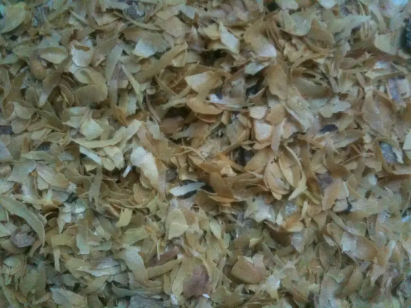 coffee husk