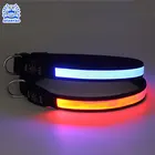 Nylon LED Pet Dog Collar For Night Safety Flashing Glow In The Dark Dog Leash