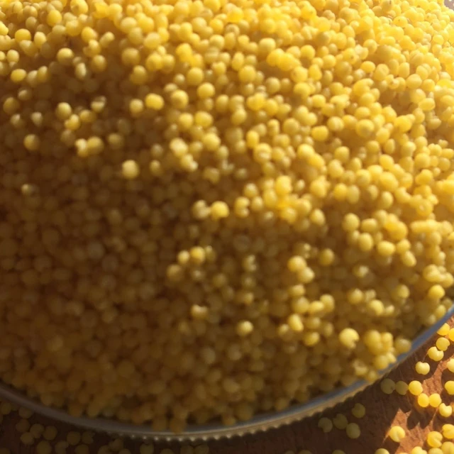 wholesale glutinous &non-glutinous dried yellow millet with