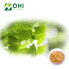 /product-detail/natural-ginkgo-biloba-extract-flavonoides-powder-factory-supply-60731348031.html