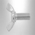 Quality Factory Production Quality Assurance High Strength Carbon Steel 8.8 Grade White Zinc M4 M6 DIN 316 Wing Bolt