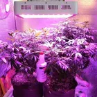 InGaN Led 1w for High Power LED 655nm 660nm 1W for Plant Grow Light Emitting Diode