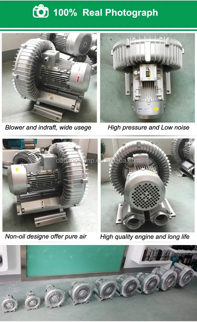 Ring Blower, DAMING, HG-5500 - detail 8