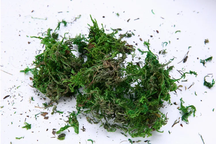 2908792533_136763060