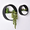 china factory hanging Planter wall decor art for Indoor Plants