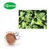 /product-detail/nettle-extract-silica-1-nettle-extract-nettle-extract-silica-1821323675.html