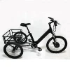 Light Weight Electric Trike with Hidden Battery