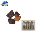 Nutritional Supplement Chaga Mushroom Extract Capsules Supplier OEM