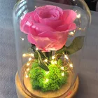 Creative Gift to Girlfriend LED Light Preserved Roses with Stem in Glass Dome